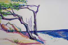 IMG_20200715_220317_093