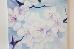 Kirschblüten 3